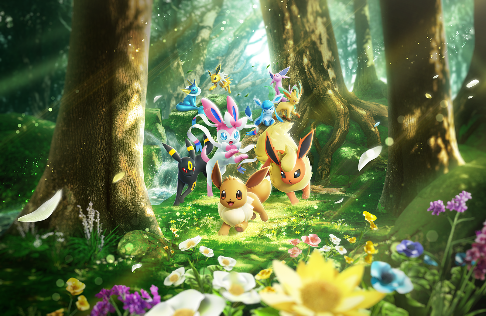 TCG-Pocket